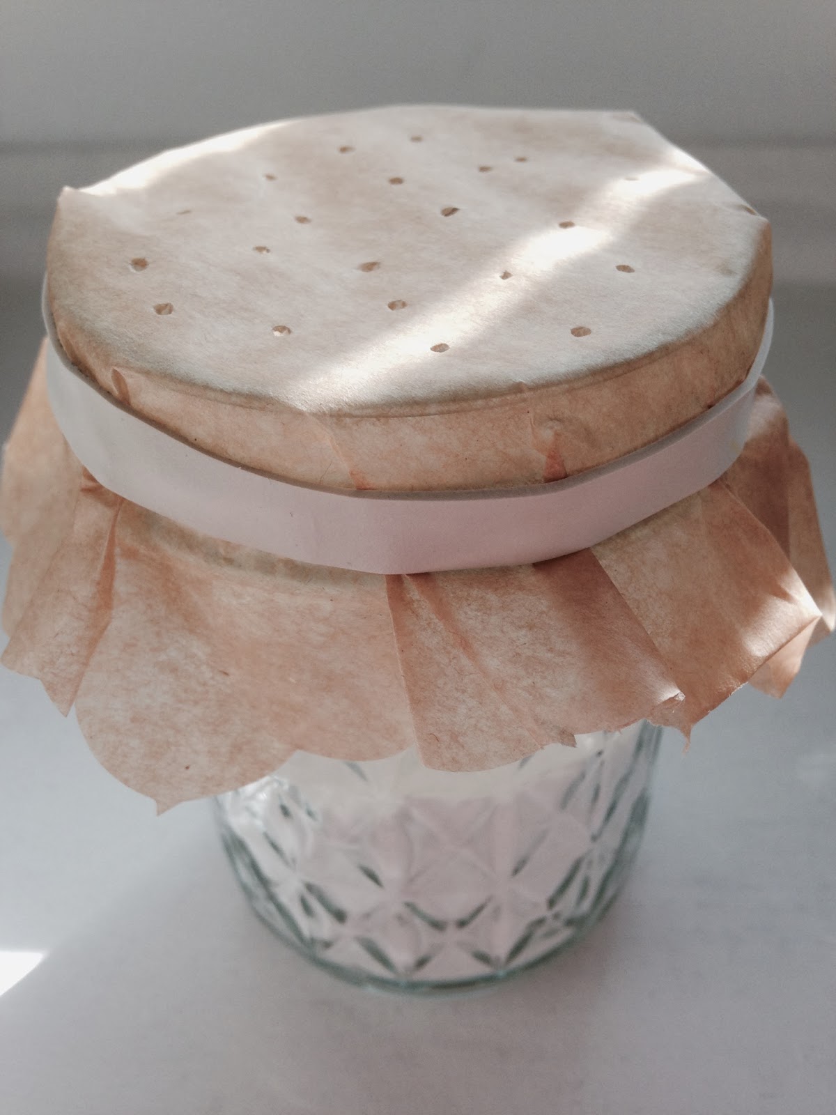 Meg's Musings DIY Room Deodorizer