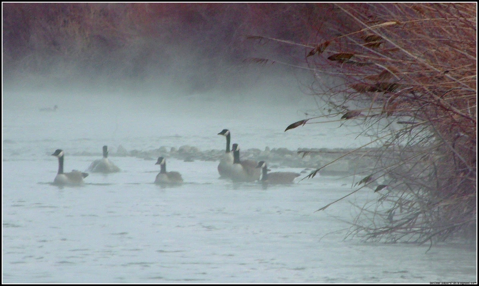 Jordan River Salt Lake City Jordan River Salt Lake City
