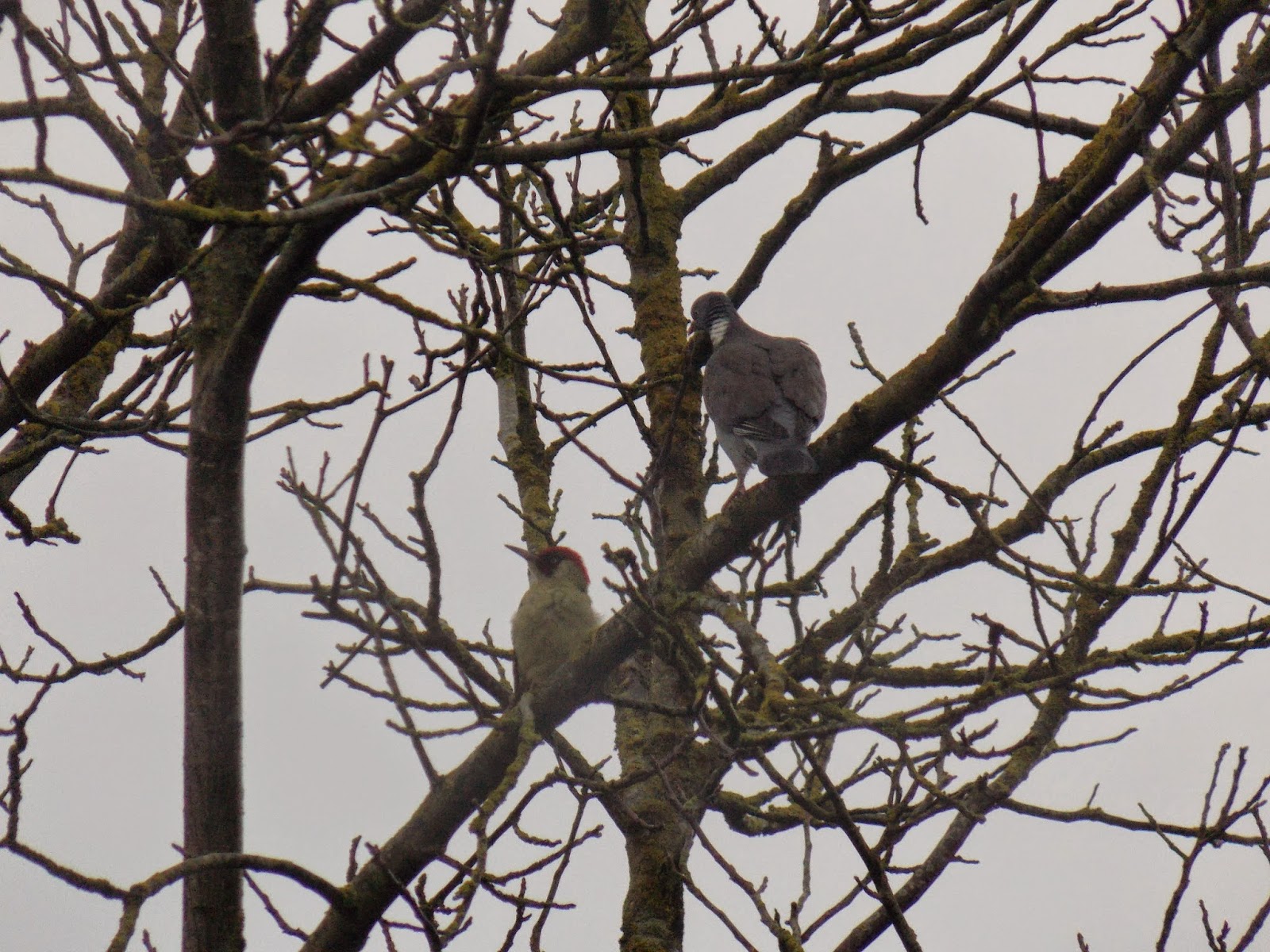 rencontre nature et bio