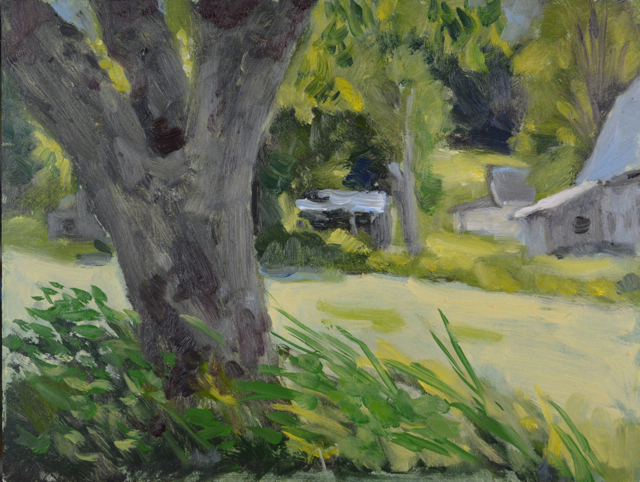 Mark And Remark From Under An Old Apple Tree