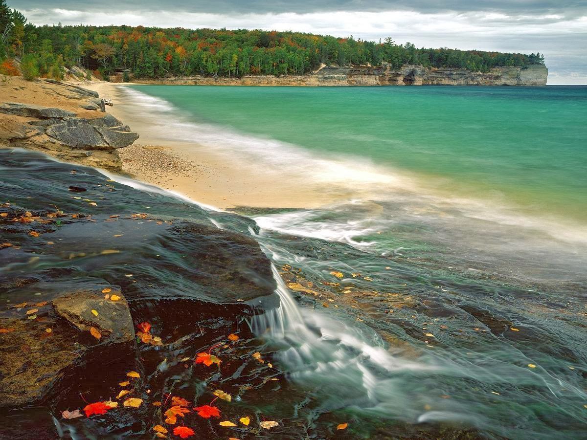 Expressing the World: Beauty of Naturism