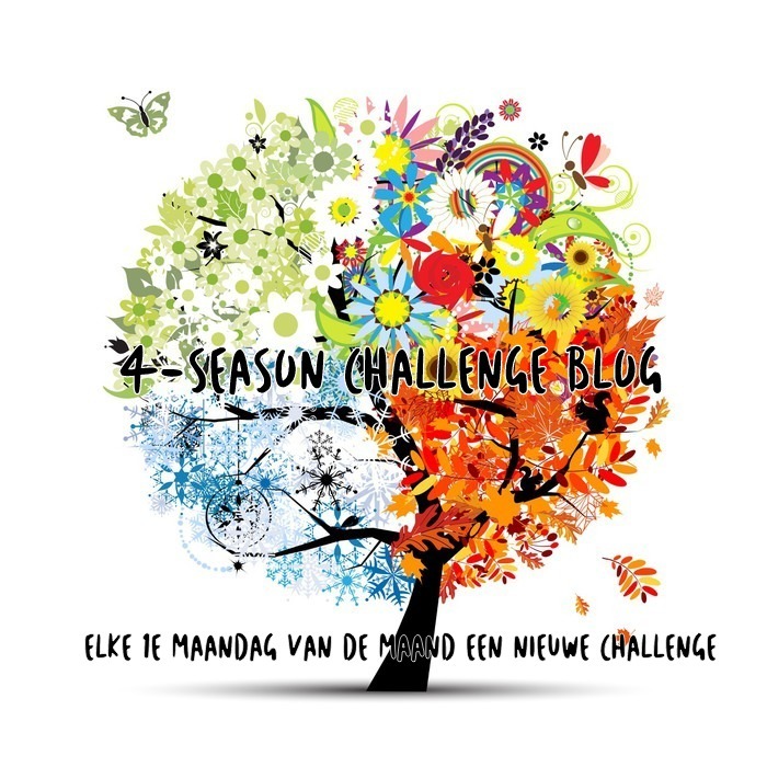 4 seasons challenge blog