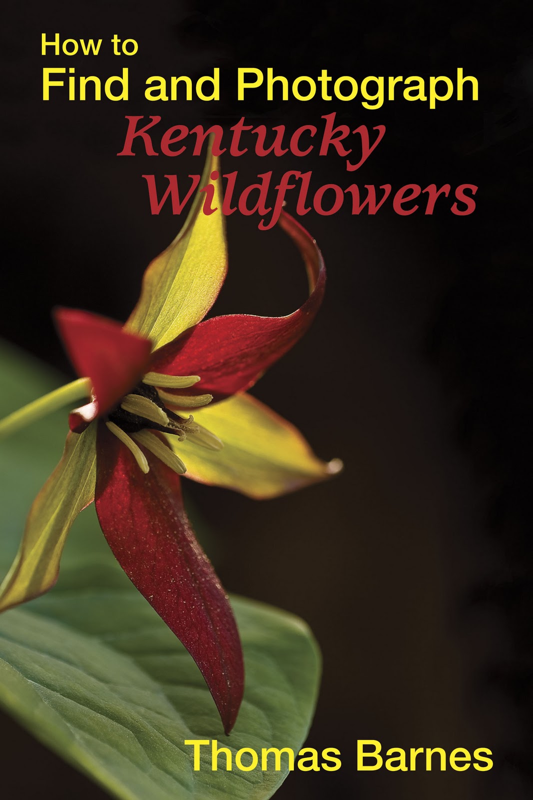 Kentucky Native Plant and Wildlife Books for the Holiday