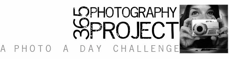 365 PHOTO PROJECT