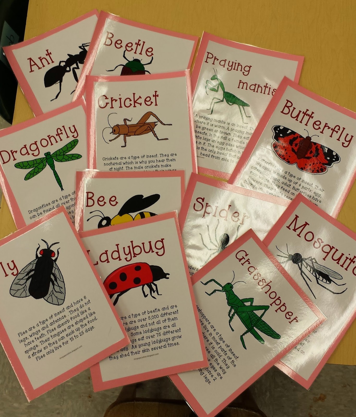 Insects, Insects Everywhere!!! Mrs. P's Specialties!