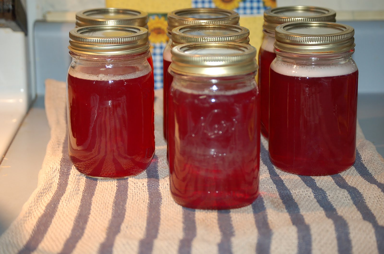 Joy in the Kitchen! Strawberry Rhubarb Syrup