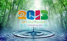 2013 Any Internacional de l'aigua