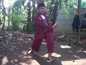 Silat Palang Pintu