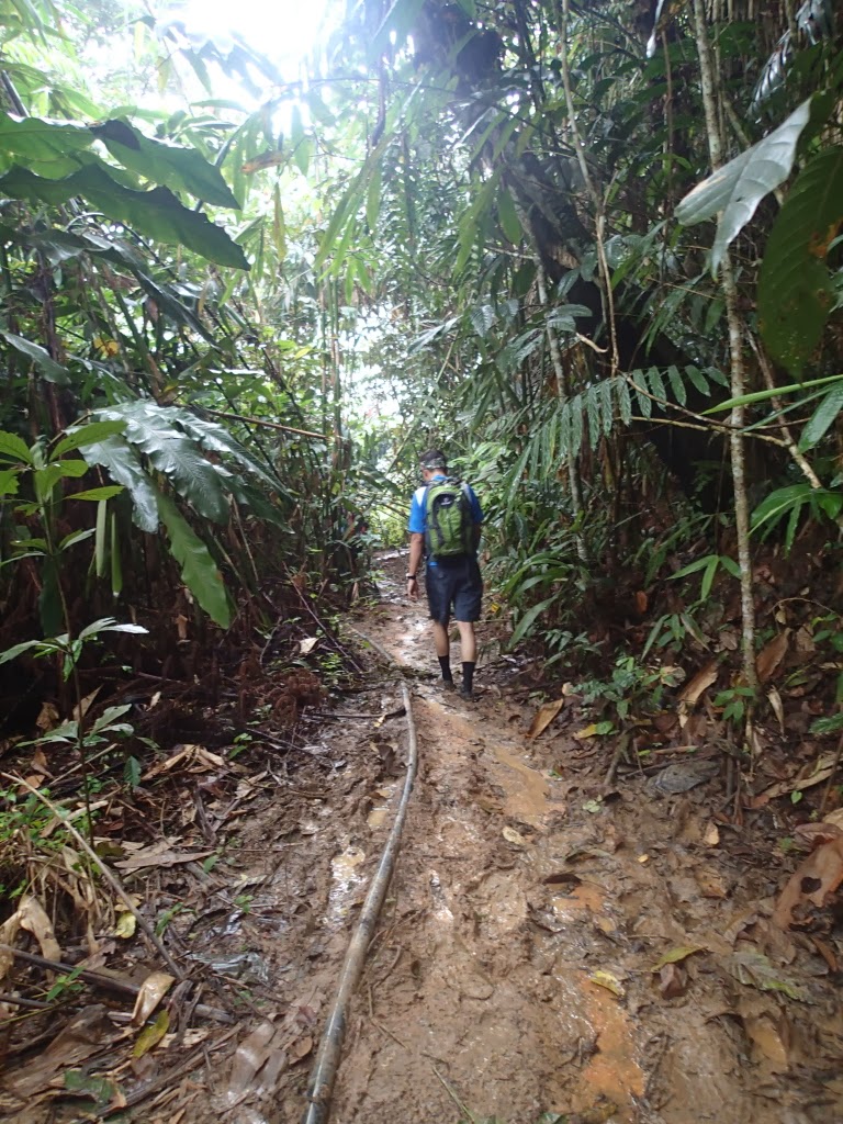 Gunung Nuang via Janda Baik Janda Baik, Pahang mcHiker