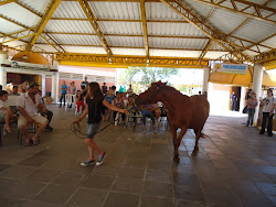 3º ENCONTRO GUARDA RESPONSÁVEL