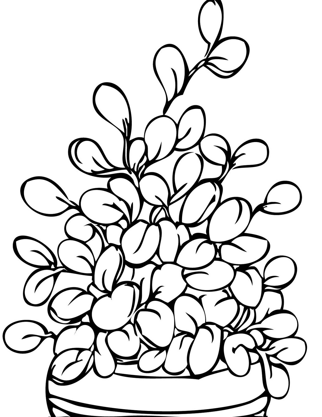 Potted Plants Coloring Pages