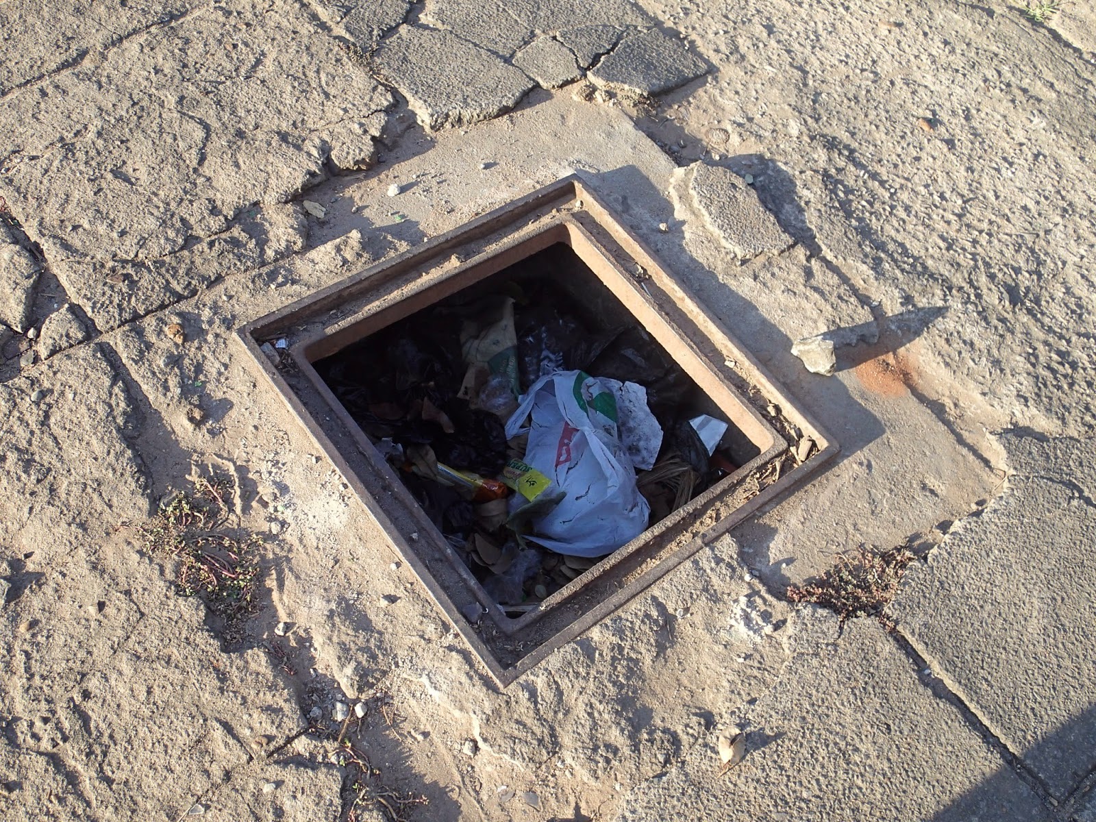 The Wonderful World of Soph Mapoots A saga of avoiding trash holes