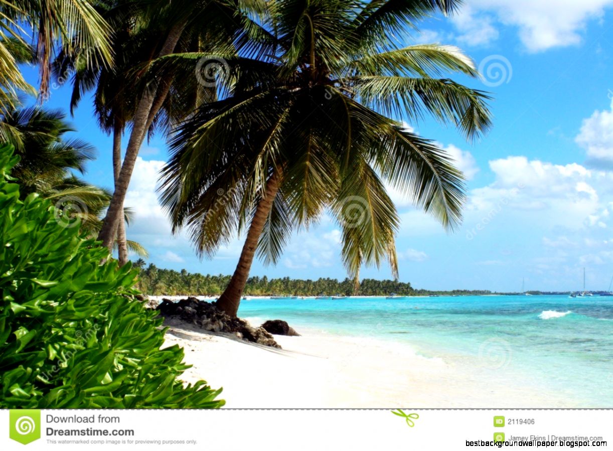 Tropical Island Beach Royalty Free Stock Image   Image 2119406 Tropical Island Beach Royalty Free Stock Image   Image 2119406