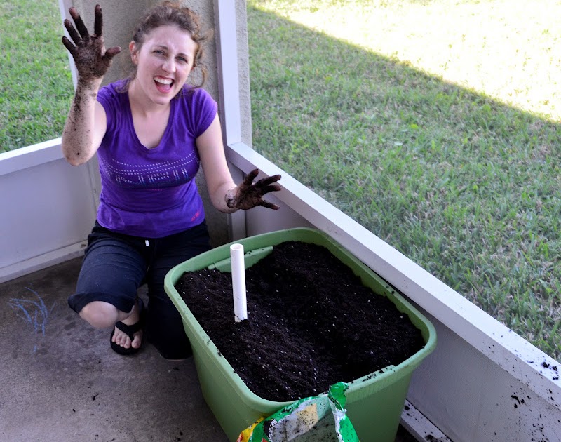 Buffalo Eggs: DIY Garden Box (aka EarthBox) part 2