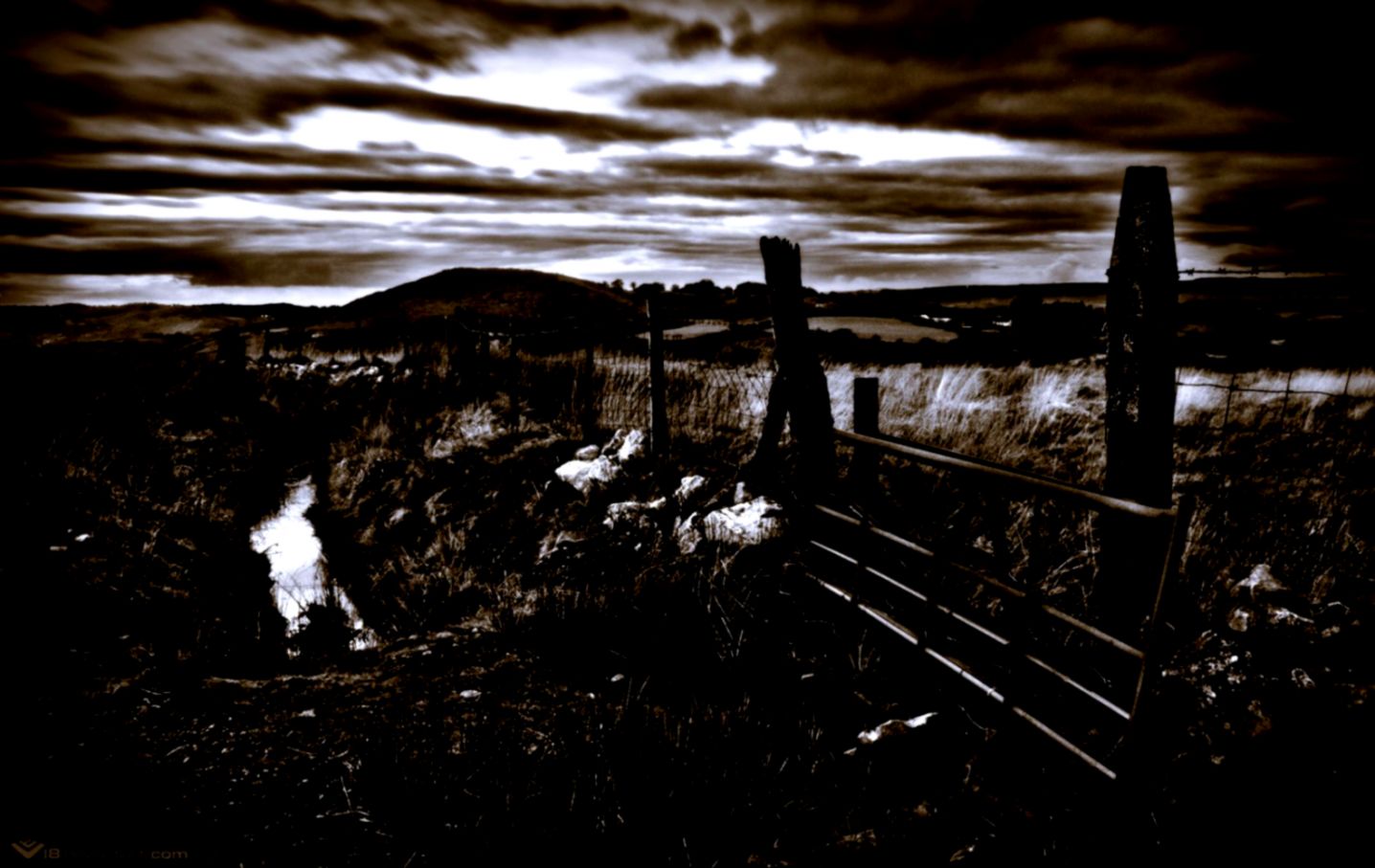 Saloon Wall Mural Wallpaper All HD Wallpapers Saloon Wall Mural Wallpaper All HD Wallpapers