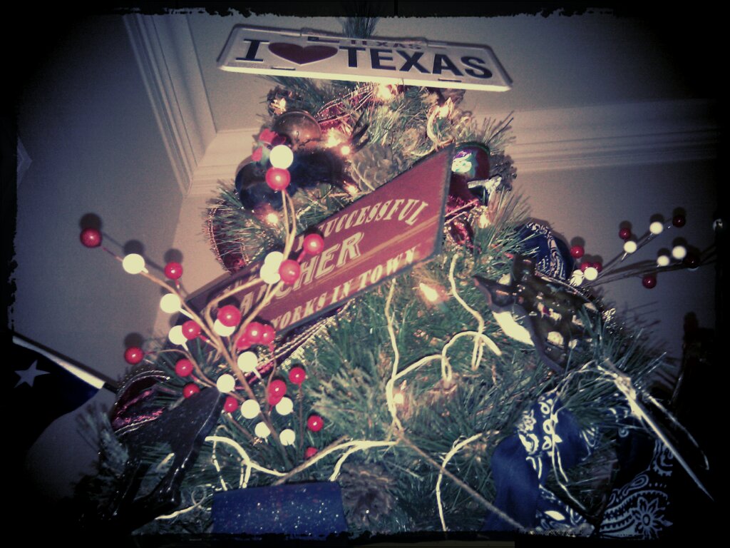 Domesticated Diva Everything's Bigger (and Cuter) in Texas...Our Texas