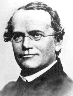 Gregor Mendel's 189th Birthday