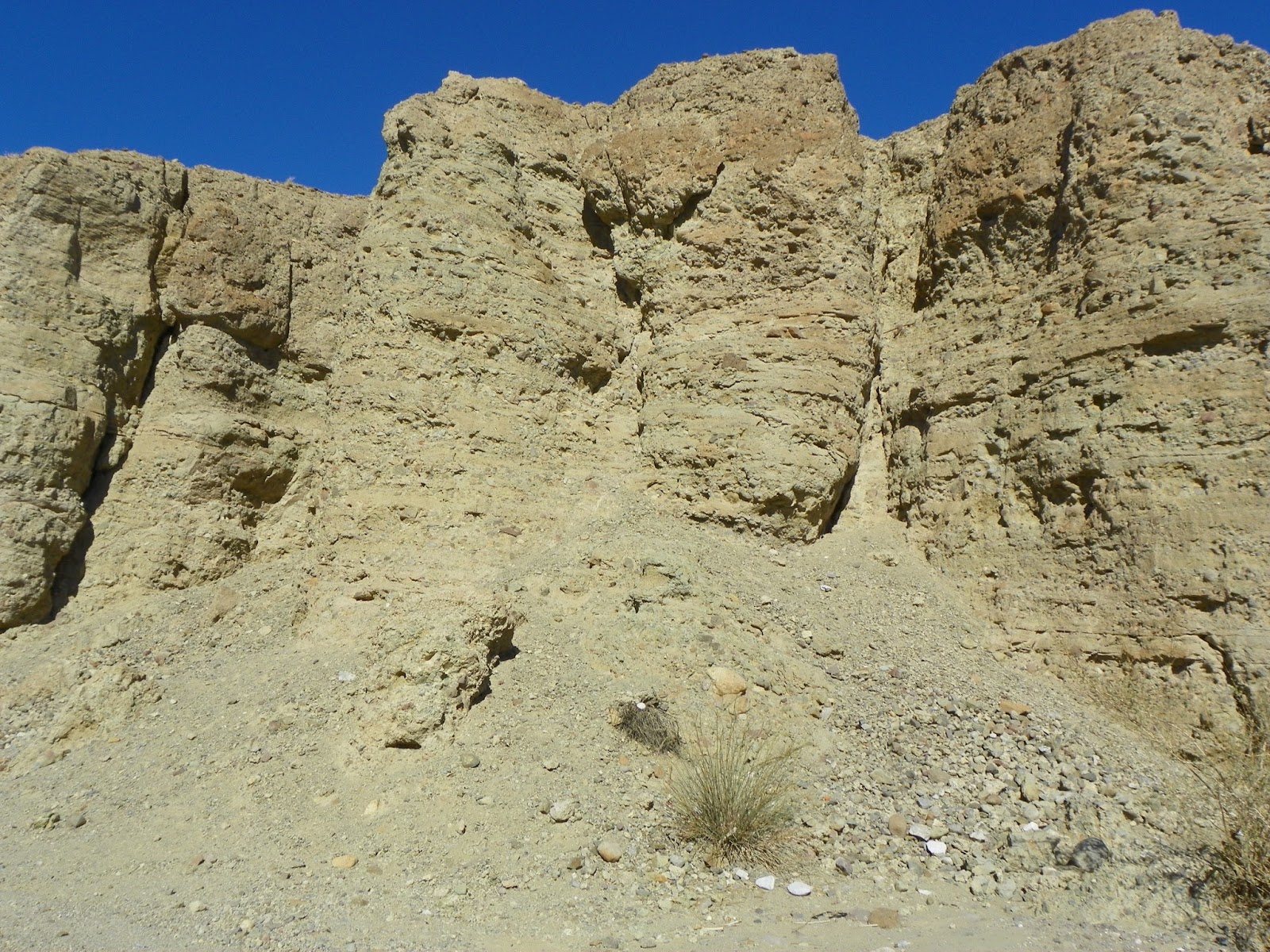ARMCHAIR HIKER SAN DIEGO & MORE Great day in Fossil Canyon Anza Borrego