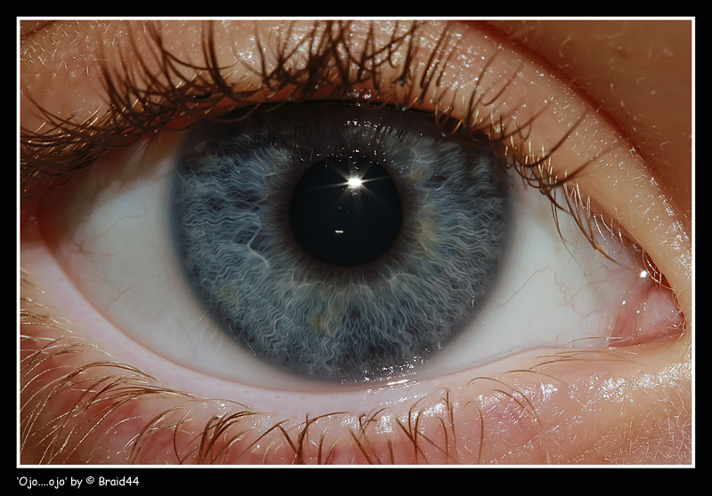 FOTO OJO ROJO foto ojo rojo: