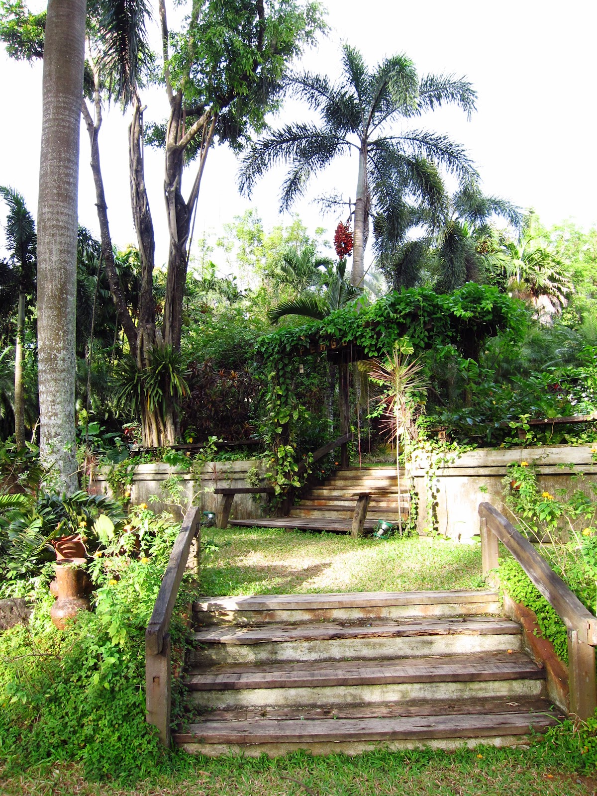 jardin de miramar practical pinay jardin de miramar jardin de miramar practical pinay jardin de miramar