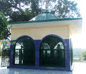 Shrine of Baba Shadi Shaheed