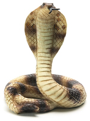 Snakes: Egyptian Cobra