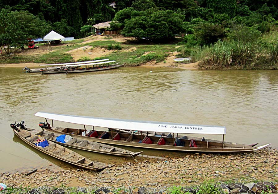 Stock Pictures Taman Negara boats