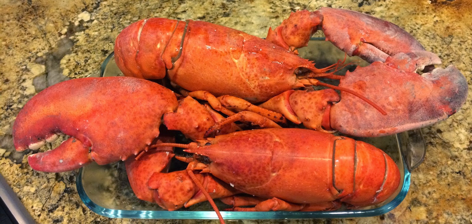 TASTE OF HAWAII COSTCO PRECOOKED LOBSTER DINNER AT HOME