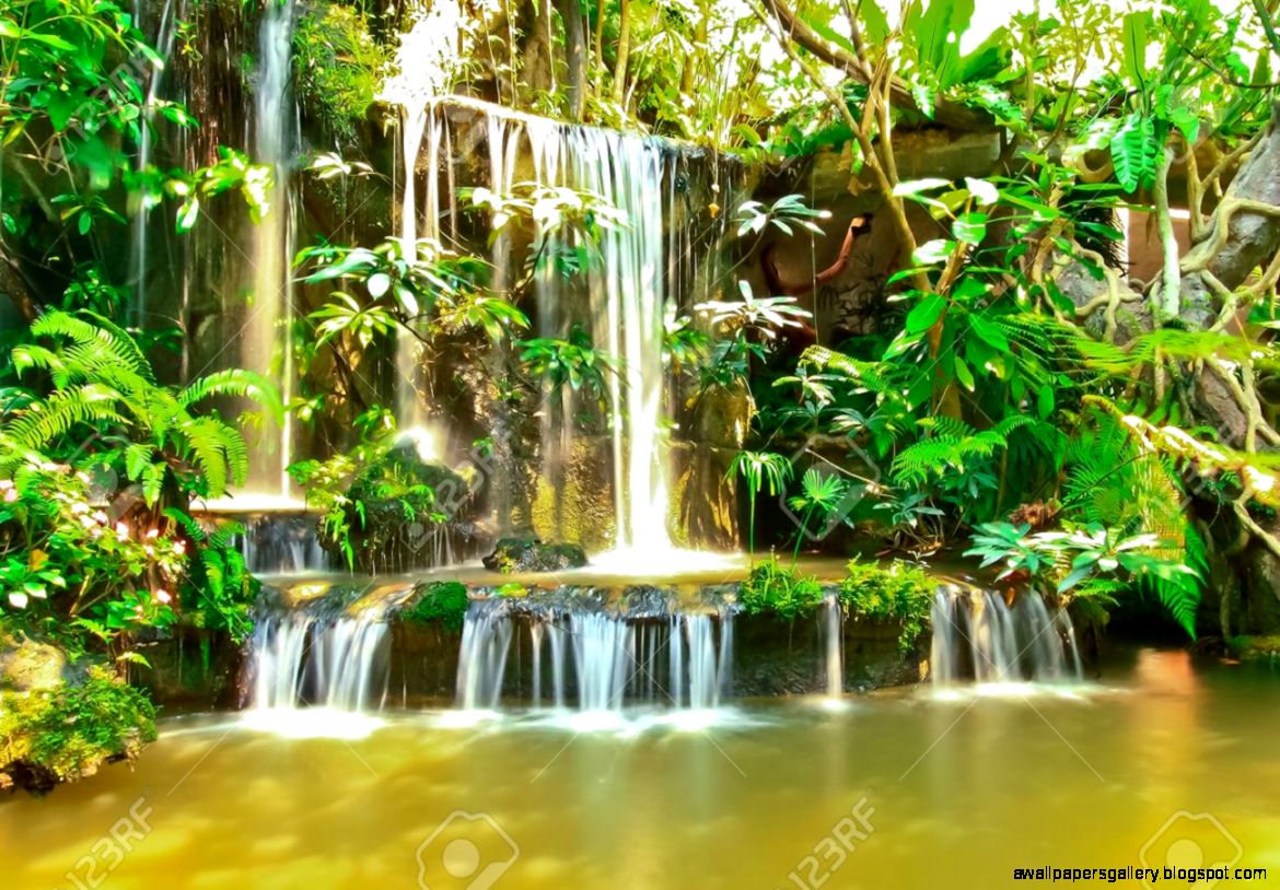 Beautiful Tropical Man made Garden Waterfalls Stock Photo Picture Beautiful Tropical Man made Garden Waterfalls Stock Photo Picture