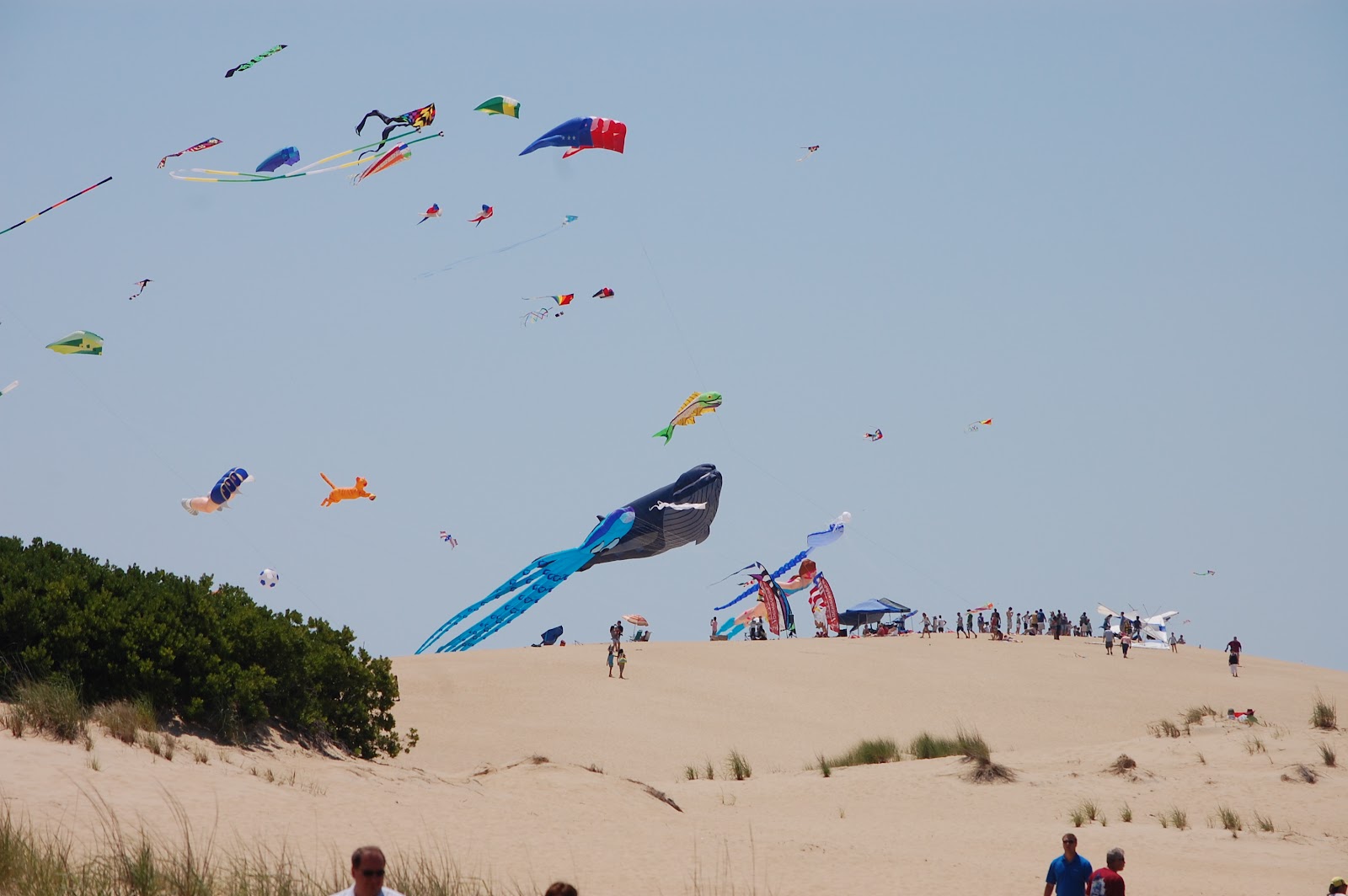 OBX Summer Fun Jockey Ridge State Park Kite Festival