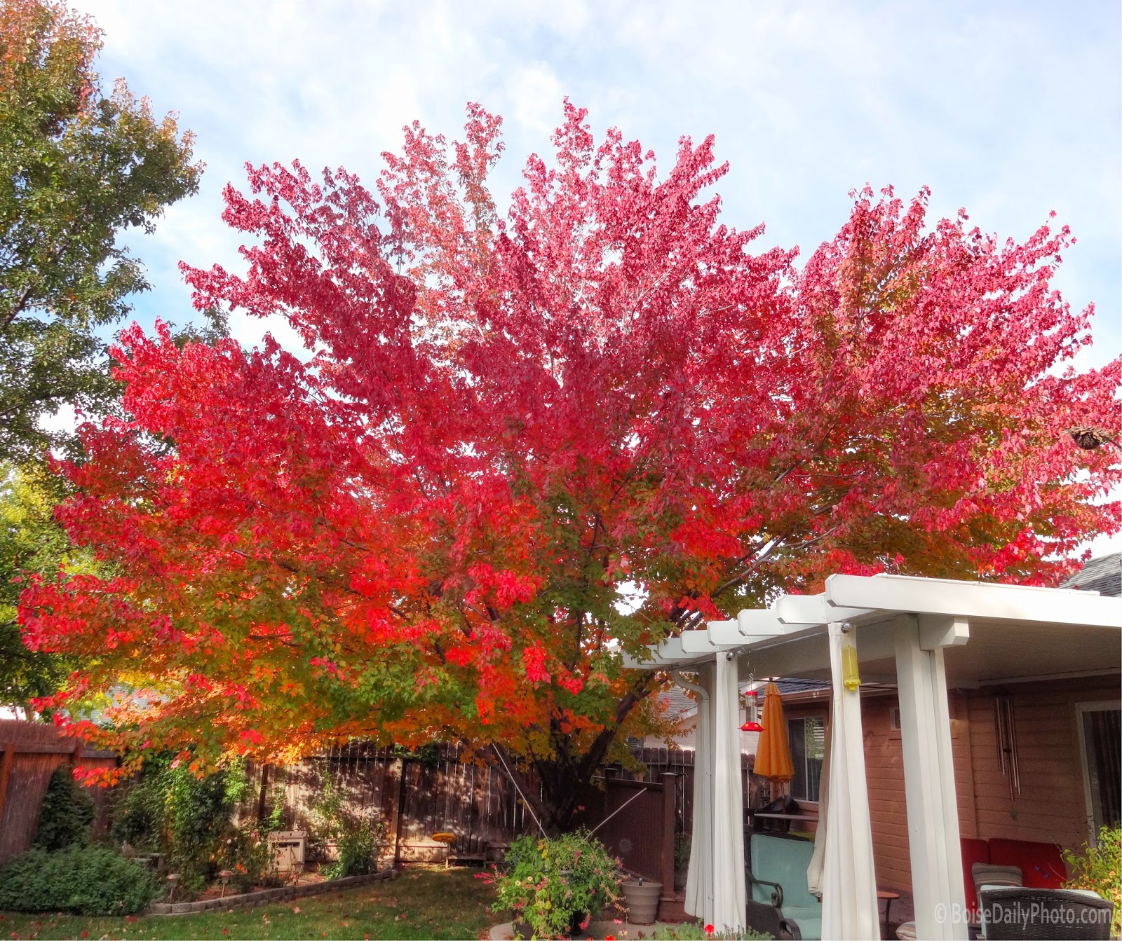 Boise Daily Photo Autumn is Perfect in Boise