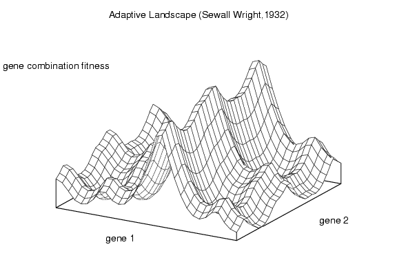 Adaptive Peaks
