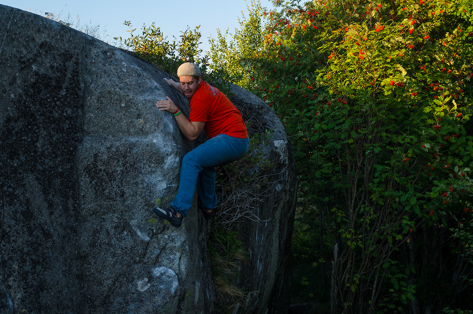 West coast bouldering En flapper och mängder med attackerande myror