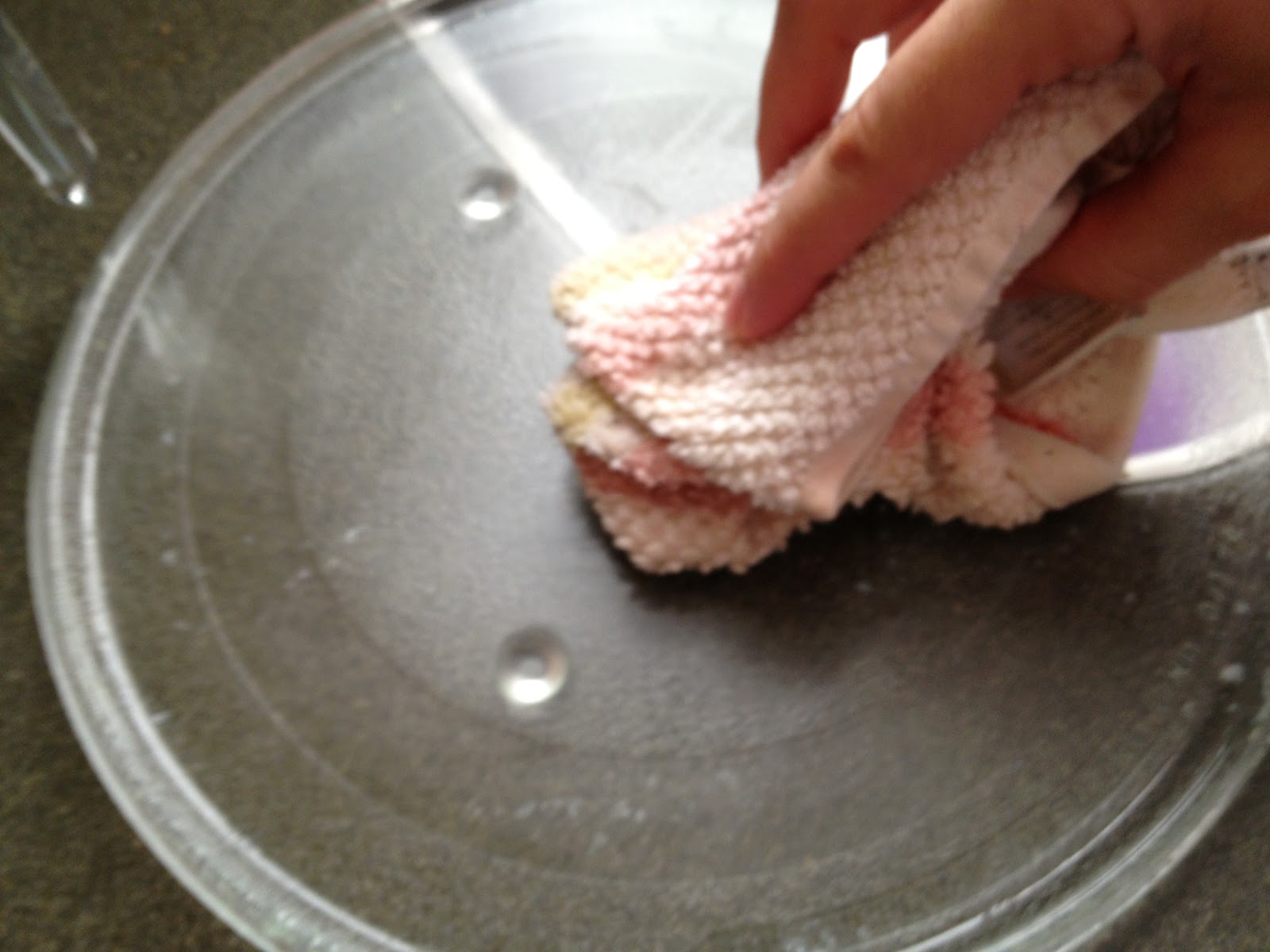 The DIY Guinea Pig Microwave Cleaner