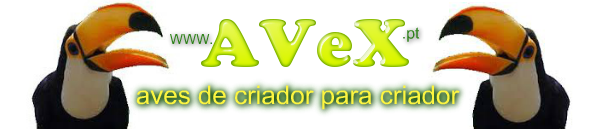 SITE DE CRIADORES