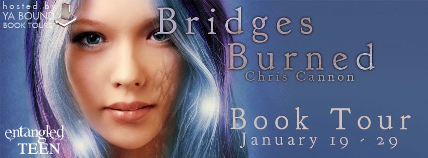 http://yaboundbooktours.blogspot.com/2014/12/blog-tour-sign-up-bridges-burned-going.html