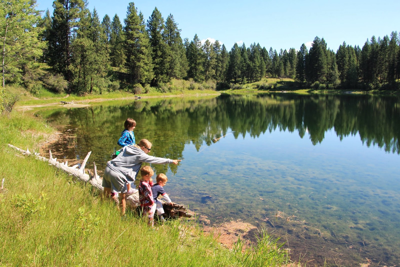 Family Adventures in the Canadian Rockies Camping in British Columbia