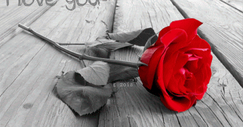 3d Gif Animations Free Download I Love You Images Photo