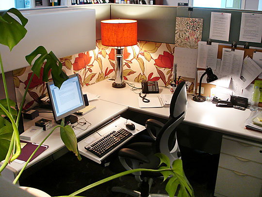 Decornuate Office Cubicle Decorating Ideas
