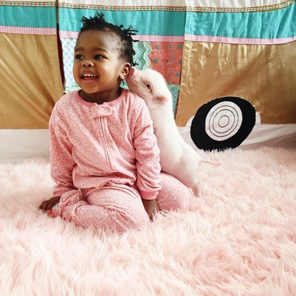 Libby is 2 and little Pearl is just 3 months old - The Heartmelting Friendship Of A 2-Year-Old Girl And Her Piglet Libby is 2 and little Pearl is just 3 months old - The Heartmelting Friendship Of A 2-Year-Old Girl And Her Piglet