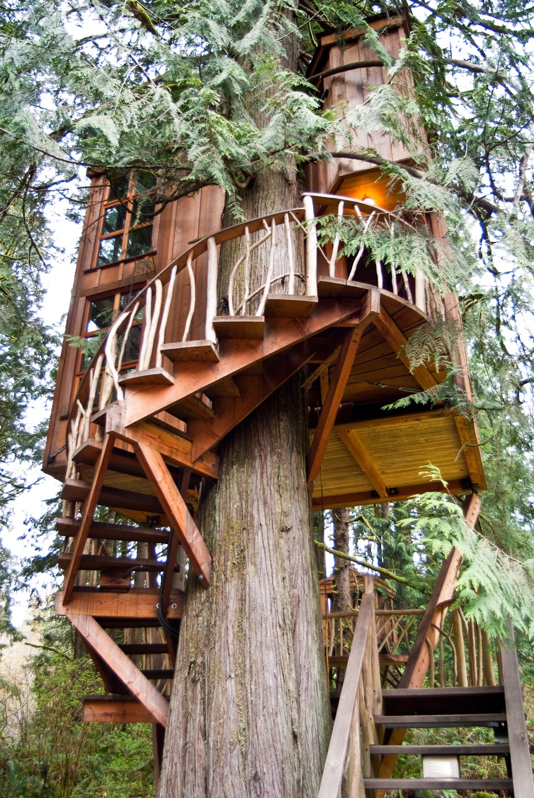Seattle Treehouse