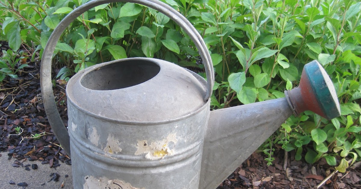Just an old watering can