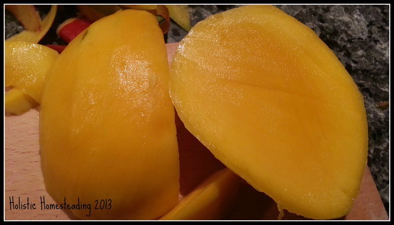 Holistic Homesteading Dehydrator Recipes Mango & Pineapple Fruit Leather