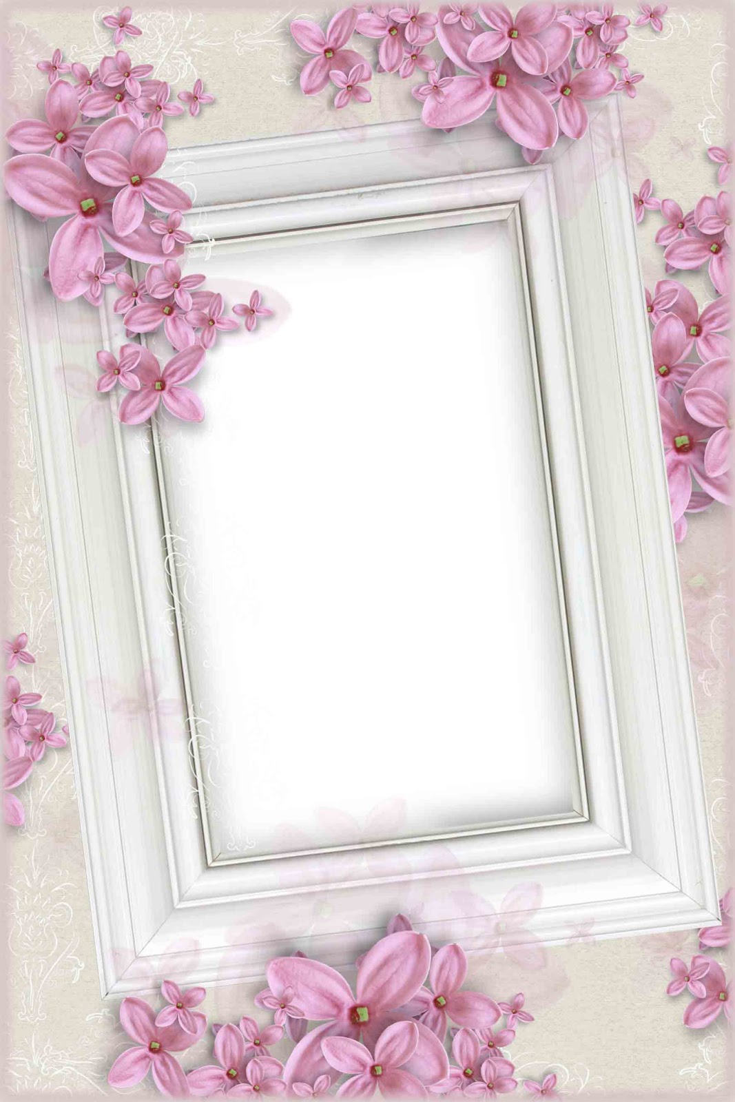 pink png frame elxa