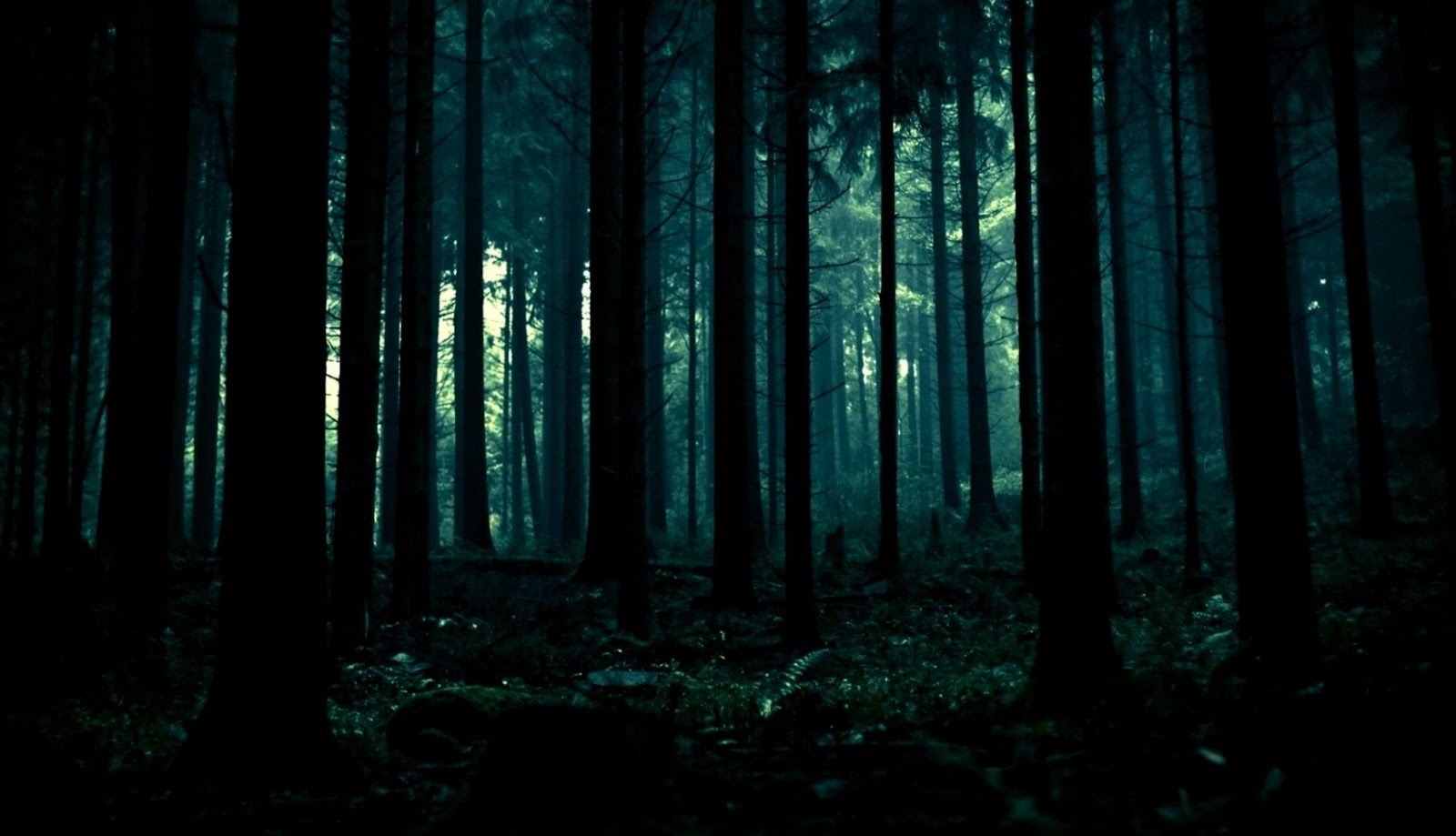 Dark Forest Tumblr Dark Forest Tumblr