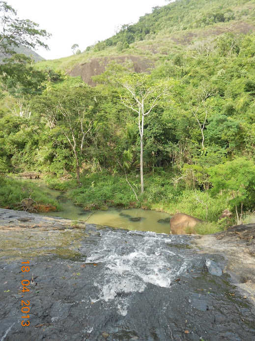 Rio Bananal