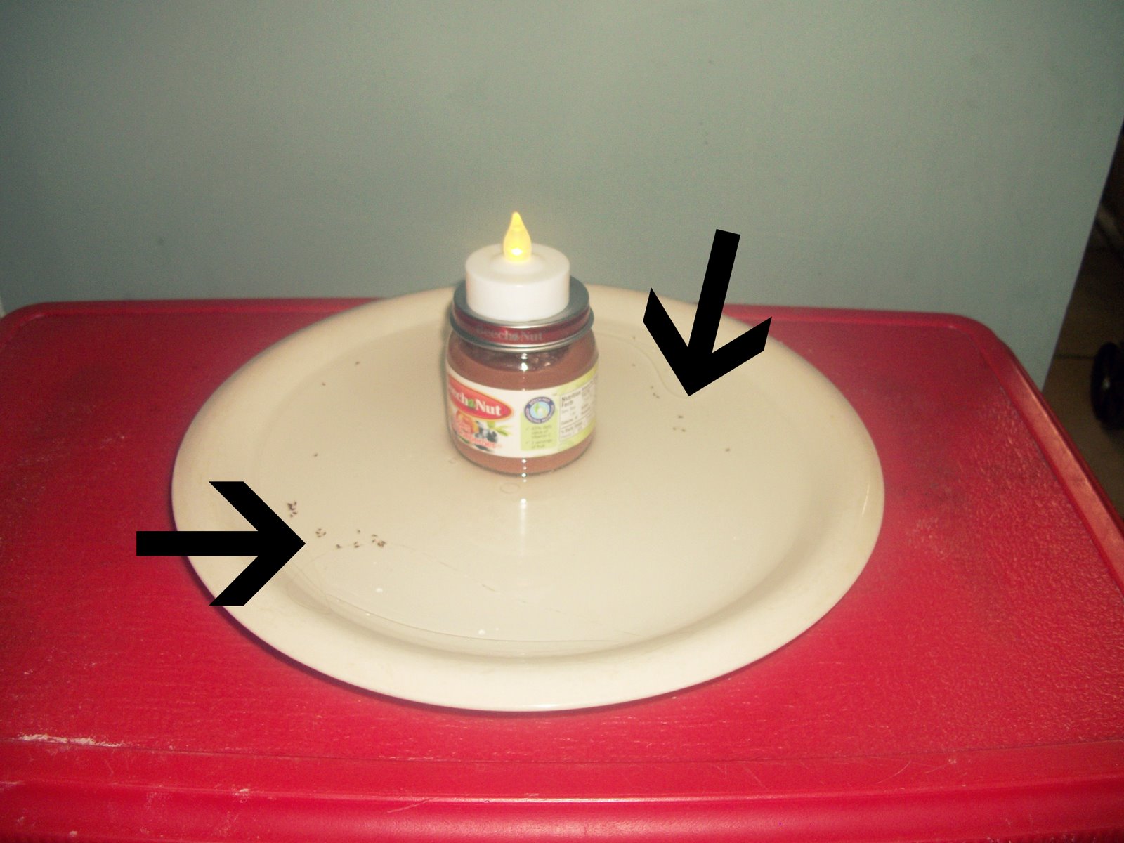 Poor Badger Creations Natural and Macgyverish way to get rid of fleas!