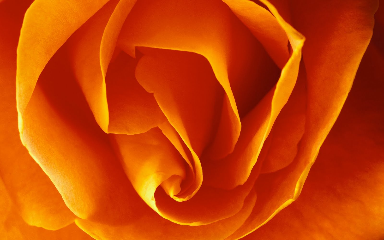 kWallpaper: High Resolution Mac Wallpapers [2]