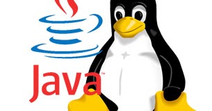 download java for ubuntu download java for ubuntu