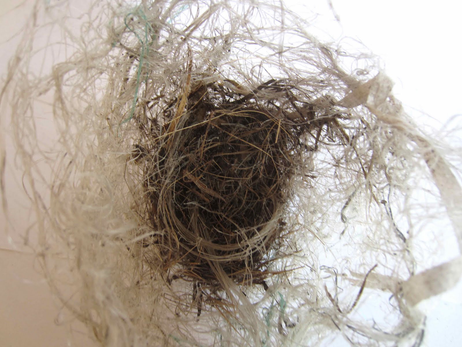 brooklynometry fishing line nest